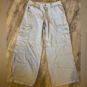 American Eagle Outfitters Light Gray Cargo Pants